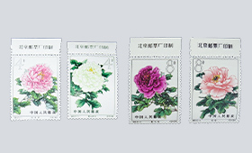 未使用 牡丹シリーズ 耳付き 全15