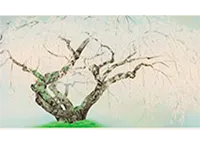 リトグラフ買取