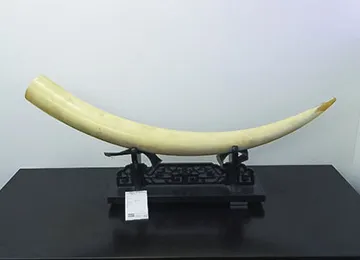 査定の前に確認