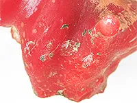 査定ポイント1.色と種類（産地）の確認