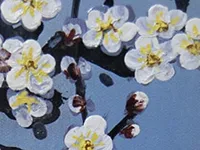 査定ポイント2.作品の状態