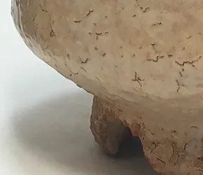 査定ポイント3.状態の確認