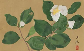 奥村土牛「椿」